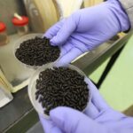 while-mexico-defends-‘sovereignty,’-cartels-import-a-flesh-eating-parasite-into-texas