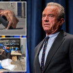 hhs-to-launch-$96m-grant-program-addressing-homelessness,-substance-abuse