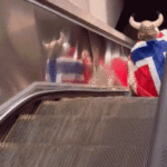viking-madness-grips-boston-escalator-as-norway-fans-march-toward-world-cup-match
