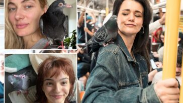 meet-the-wacky-‘pigeon-girls’-adopting-oft-hated-‘rats-with-wings’-who-swear-they-make-lovable-pets:-‘they’re-amazing-creatures’
