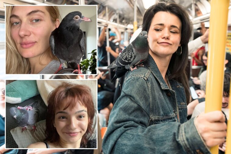 meet-the-wacky-‘pigeon-girls’-adopting-oft-hated-‘rats-with-wings’-who-swear-they-make-lovable-pets:-‘they’re-amazing-creatures’