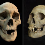 scientists-discover-oldest-known-evidence-of-the-plague-with-5,500-year-old-teeth
