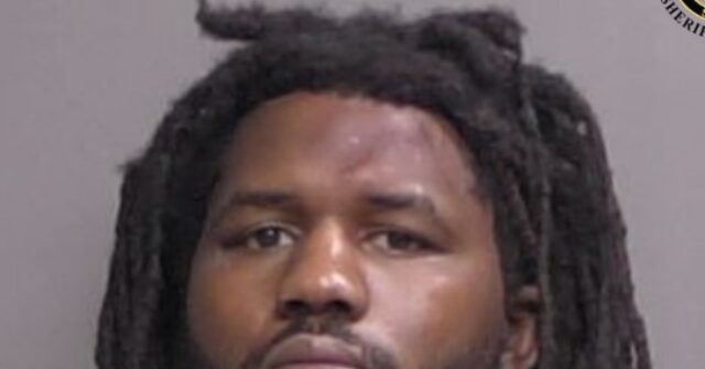 mother-who-shot-intruder:-‘i-did-what-i-had-to-do-to-protect-my-children’