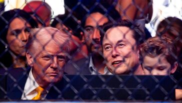 ufc-attack-ringleader-hoped-to-target-elon-musk