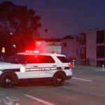 usd-student-is-hit-and-killed-by-cop-car-—-as-horrific-details-emerge