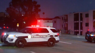 usd-student-is-hit-and-killed-by-cop-car-—-as-horrific-details-emerge