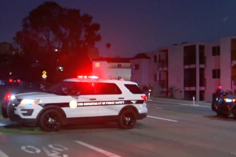 usd-student-is-hit-and-killed-by-cop-car-—-as-horrific-details-emerge