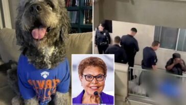 la-mayor-karen-bass-orders-probe-into-beloved-dog-shot-by-cops-during-knicks-party