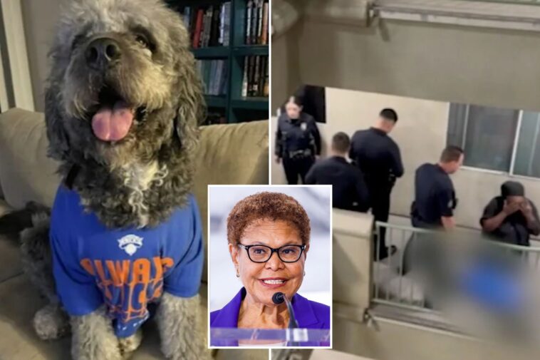 la-mayor-karen-bass-orders-probe-into-beloved-dog-shot-by-cops-during-knicks-party
