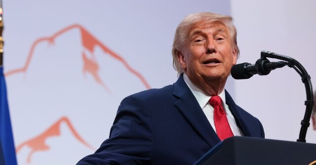 president-trump-to-breitbart:-democrats-performing-poorly-in-generic-polls-because-they’re-running-‘lunatics’