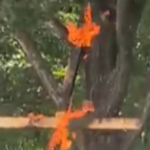 nolte:-chicago-cross-burning-hate-hoax-committed-by-asian,-anti-trump-leftist