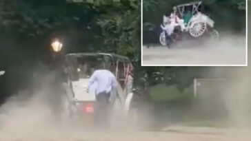 teen-passenger-critically-wounded-as-nyc-carriage-horse-gets-startled,-bolts-in-central-park