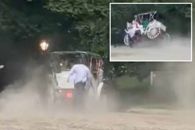 teen-passenger-critically-wounded-as-nyc-carriage-horse-gets-startled,-bolts-in-central-park