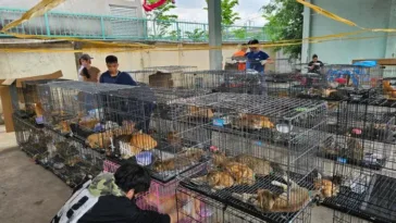 police-save-400-cats-from-gruesome-fate
