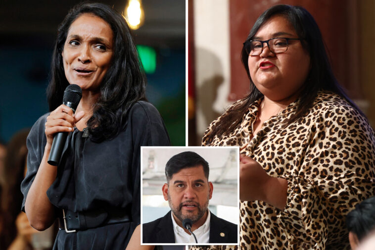 la-city-council-takes-major-step-toward-letting-non-citizens-vote