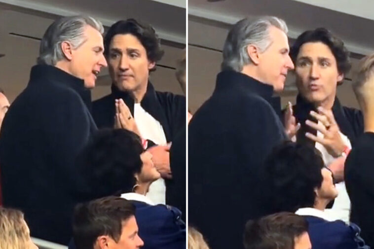 gavin-newsom-and-justin-trudeau-spotted-in-animated-discussion-at-world-cup