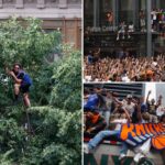 diehard-nyc-knicks-fans-climb-trees,-fire-escapes,-scaffolding-and-more-to-catch-glimpse-of-nba-champs
