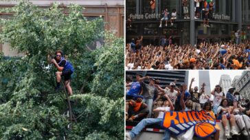diehard-nyc-knicks-fans-climb-trees,-fire-escapes,-scaffolding-and-more-to-catch-glimpse-of-nba-champs