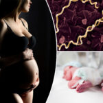 42-babies-die-in-australia-and-cases-of-devastating-sti-spike-in-us-—-doc-warns-he’s-‘never-been-more-concerned’