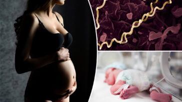 42-babies-die-in-australia-and-cases-of-devastating-sti-spike-in-us-—-doc-warns-he’s-‘never-been-more-concerned’