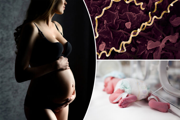 42-babies-die-in-australia-and-cases-of-devastating-sti-spike-in-us-—-doc-warns-he’s-‘never-been-more-concerned’