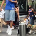 mikal-bridges-brings-his-dog-to-knicks’-championship-parade