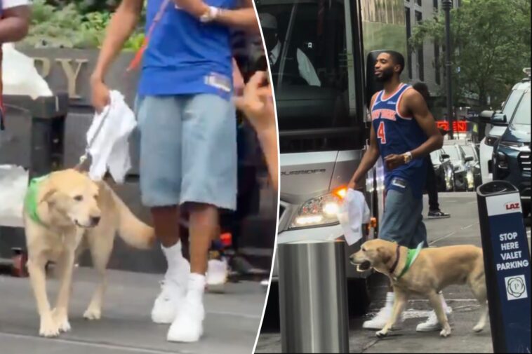 mikal-bridges-brings-his-dog-to-knicks’-championship-parade