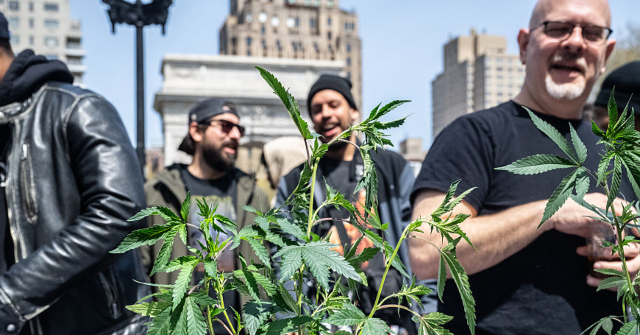 scotus-rules-against-ban-on-gun-possession-for-marijuana-user