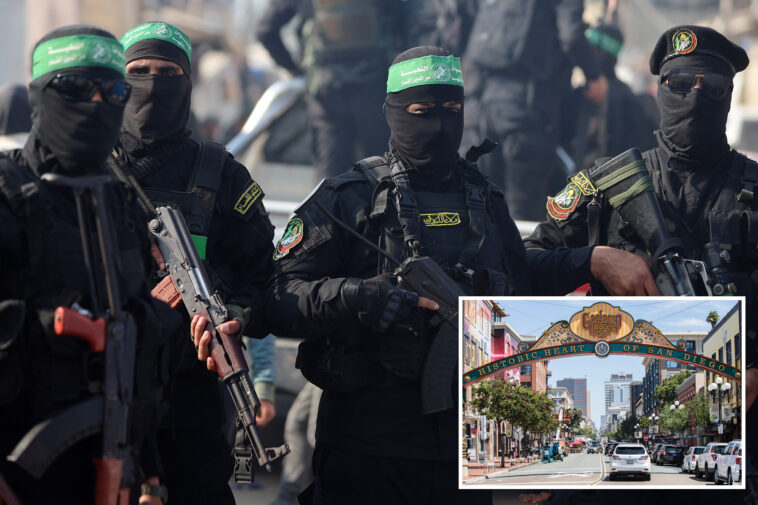 san-diego-sicko-snared-in-alleged-terrorism-plot-after-raising-huge-sums-of-cash:-‘hates-america’