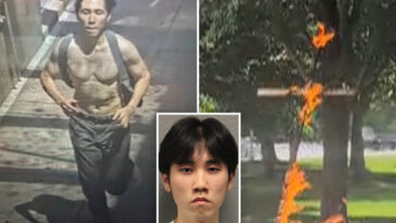 21-year-old-accused-of-hate-crime-after-setting-cross-on-fire-in-chicago-park:-cops