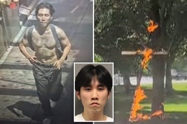 21-year-old-accused-of-hate-crime-after-setting-cross-on-fire-in-chicago-park:-cops