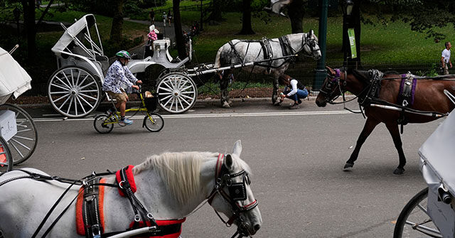 video-–-nyc:-18-year-old-dies-after-being-thrown-from-runaway-horse-drawn-carriage-in-central-park
