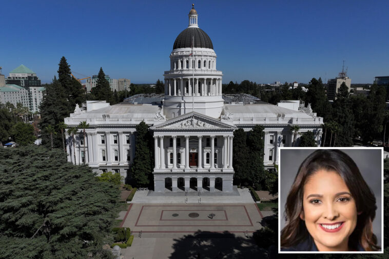 californians-could-be-sued,-charged-$88-per-hour-for-asking-questions-of-state-government-under-crazy-new-bill
