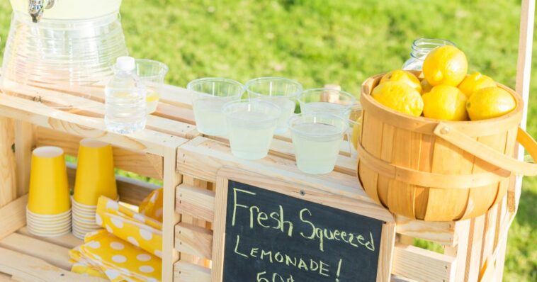 video:-2-black-teens-rob-white-kids’-lemonade-stand-at-gunpoint…-as-race-baiters-demand-‘justice’-for-so-called-white-oppression
