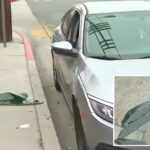 brazen-los-angeles-thief’s-astonishing-heist-targeting-entire-street-in-one-night