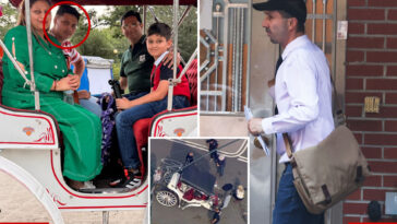 nyc-horse-carriage-ban-gains-traction-following-tragic-death-of-teen-tourist
