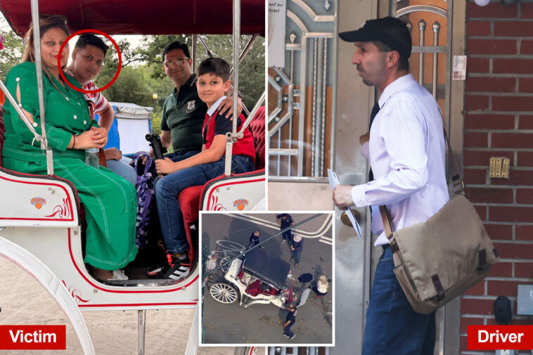 nyc-horse-carriage-ban-gains-traction-following-tragic-death-of-teen-tourist
