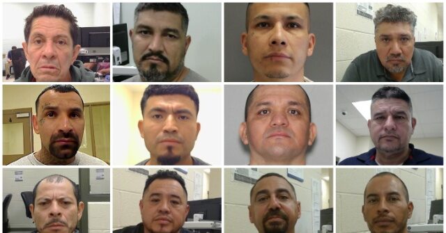 exclusive:-735-criminal-illegal-aliens-arrested-by-ice-houston-officers-in-may-—-nearly-1,200-with-violent-convictions,-including-murderers,-child-predators