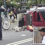 nyc-carriage-horse-driver-‘devastated’-after-teen-tourist-dies,-union-halts-rides-in-response-to-tragedy