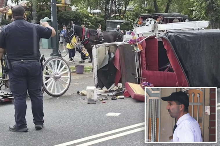 nyc-carriage-horse-driver-‘devastated’-after-teen-tourist-dies,-union-halts-rides-in-response-to-tragedy