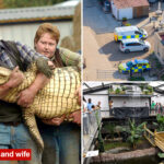 boy,-3,-was-thrown-into-crocodile-pit-by-man-with-learning-disabilities-deemed-unfit-for-police-interview