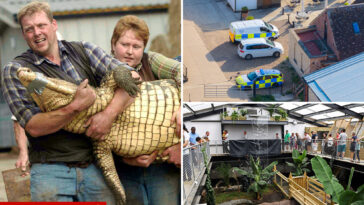 boy,-3,-was-thrown-into-crocodile-pit-by-man-with-learning-disabilities-deemed-unfit-for-police-interview