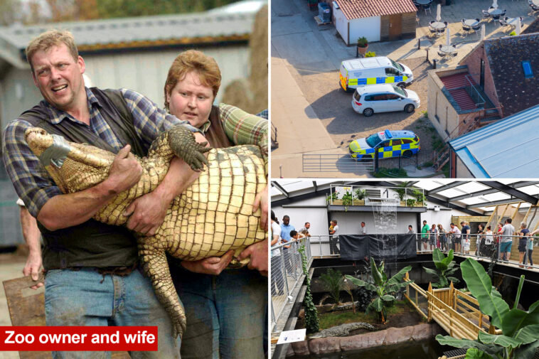 boy,-3,-was-thrown-into-crocodile-pit-by-man-with-learning-disabilities-deemed-unfit-for-police-interview