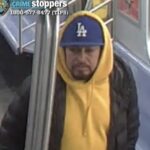 illegal-alien-who-raped-the-body-of-a-dead-man-for-30-minutes-on-nyc-subway-learns-his-fate