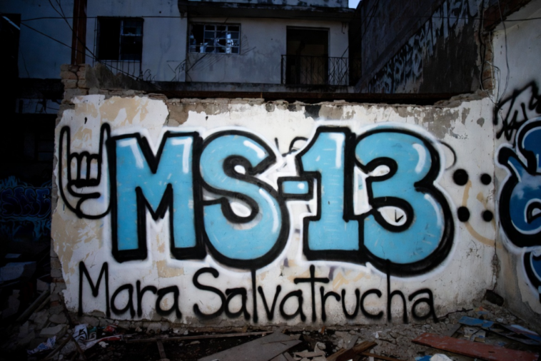 us.-doubles-bounty-on-ms-13’s-top-honduras-leader-believed-to-be-hiding-in-guatemala-—-washington-now-offering-$15-million-for-two-cartel-chiefs