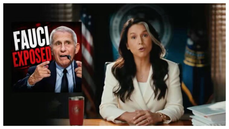 the-fauci-files-tulsi-says-they-never-wanted-you-to-see
