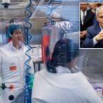 anthony-fauci-gave-millions-in-taxpayer-dollars-to-fund-wuhan-lab-research-that-sparked-covid,-tulsi-gabbard-says