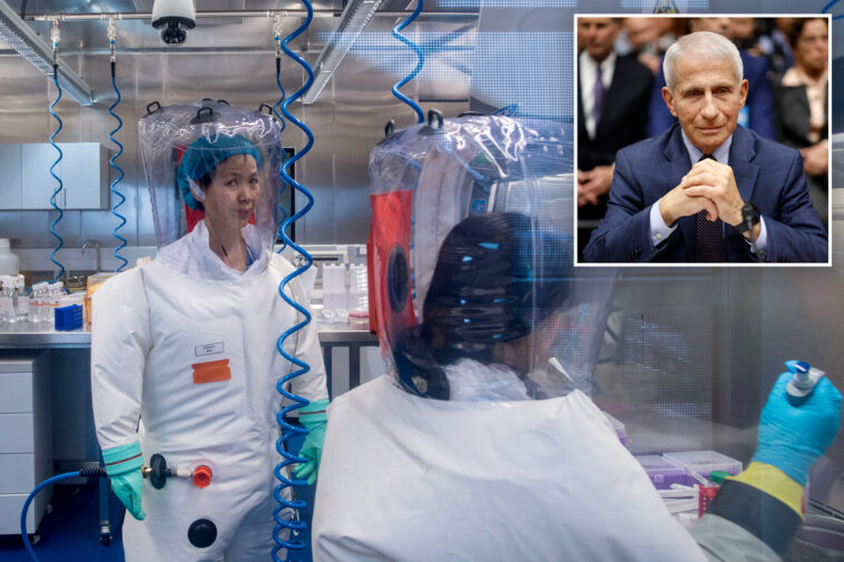 anthony-fauci-gave-millions-in-taxpayer-dollars-to-fund-wuhan-lab-research-that-sparked-covid,-tulsi-gabbard-says