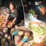 dumpster-diving-nyers-mine-luxe-supermarket-trash-to-dine-like-kings-—-for-free:-‘it’s-still-fresh’