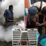 sri-lanka-battles-severe-dengue-fever-outbreak,-with-over-44k-cases-and-28-deaths-this-year